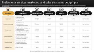 Professional Services Marketing And Sales Strategies Budget Plan