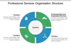 Professional services organization structure ppt powerpoint presentation gallery clipart images cpb
