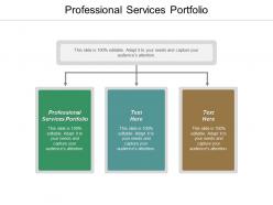 Professional services portfolio ppt powerpoint presentation summary layout ideas cpb