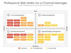 Professional skills matrix for a channel manager