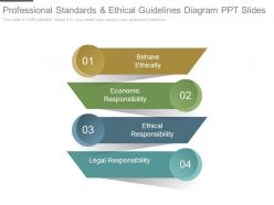 Professional standards and ethical guidelines diagram ppt slides