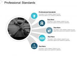 Professional standards ppt powerpoint presentation icon slide cpb