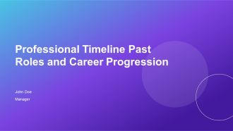 Professional Timeline Past Roles And Career Progression PPT Information AT