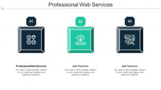 Professional Web Services Ppt Powerpoint Presentation Styles Templates Cpb