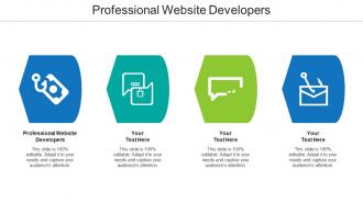 Professional website developers ppt powerpoint presentation summary example file cpb