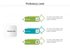 Proficiency level ppt powerpoint presentation icon picture cpb
