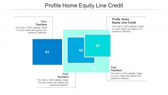 Profile home equity line credit ppt powerpoint presentation professional styles cpb
