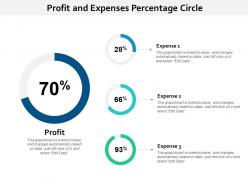 Profit and expenses percentage circle