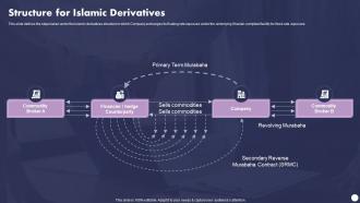 Profit And Loss Sharing Finance Structure For Islamic Derivatives Fin SS V
