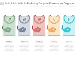 Profit attributable to marketing template presentation diagrams