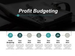 Profit budgeting ppt powerpoint presentation icon example file cpb