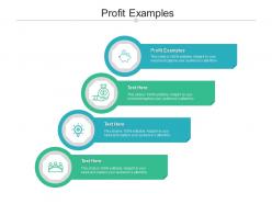 Profit examples ppt powerpoint presentation ideas example introduction cpb
