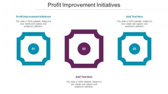 Profit Improvement Initiatives Ppt Powerpoint Presentation Summary Structure Cpb