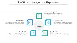 Profit Loss Management Experience Ppt Powerpoint Presentation Layouts Graphics Download Cpb