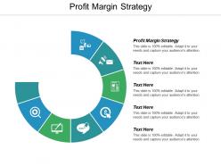 Profit margin strategy ppt powerpoint presentation infographic template rules cpb