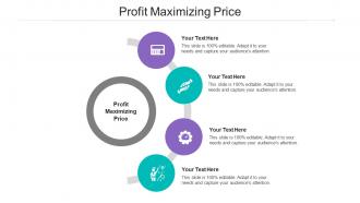 Profit maximizing price ppt powerpoint presentation file vector cpb
