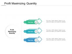 Profit maximizing quantity ppt powerpoint presentation infographics samples cpb