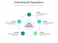 Profit nonprofit organizations ppt powerpoint presentation professional icons cpb