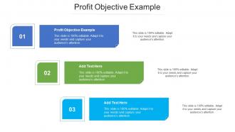 Profit Objective Example Ppt Powerpoint Presentation Slides Maker Cpb