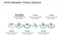 Profit orientation pricing objective ppt powerpoint presentation show designs cpb