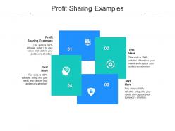Profit sharing examples ppt powerpoint presentation icon examples cpb