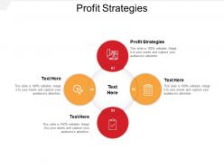 Profit strategies ppt powerpoint presentation infographics gallery cpb