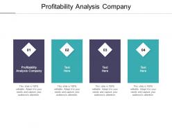 Profitability analysis company ppt powerpoint presentation gallery graphics cpb