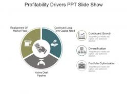 Profitability drivers ppt slide show