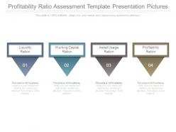 Profitability ratio assessment template presentation pictures
