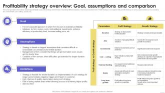 Profitability Strategy Overview Goal Sustainable Multi Strategic Organization Competency