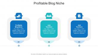Profitable Blog Niche In Powerpoint And Google Slides Cpb