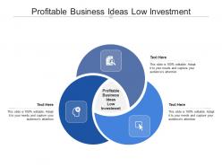 Profitable business ideas low investment ppt powerpoint presentation infographic template portrait cpb