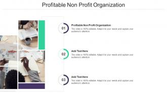 Profitable Non Profit Organization Ppt Powerpoint Presentation Summary Introduction Cpb