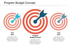 Program budget concept ppt powerpoint presentation icon deck cpb