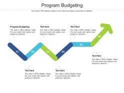 Program budgeting ppt powerpoint presentation pictures rules cpb