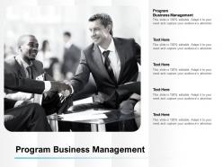 Program business management ppt powerpoint presentation gallery outline cpb