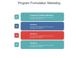 Program formulation marketing ppt powerpoint presentation file themes cpb