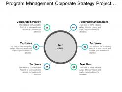 Program management corporate strategy project management network analysis cpb
