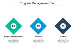 Program management plan ppt powerpoint presentation file template cpb