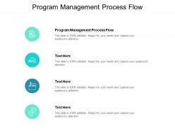 Program management process flow ppt powerpoint presentation infographic cpb
