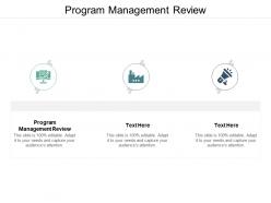 Program management review ppt powerpoint presentation visual aids example 2015 cpb