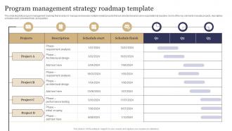 Program Management Strategy Roadmap Template