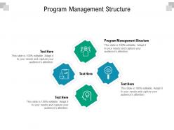 Program management structure ppt powerpoint presentation gallery portfolio cpb