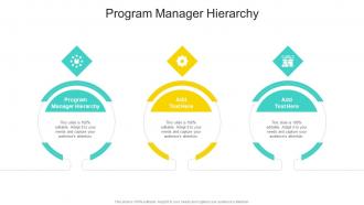 Program Manager Hierarchy In Powerpoint And Google Slides Cpb