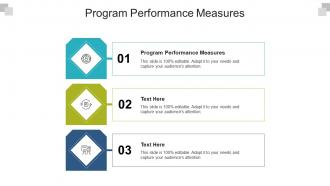 Program performance measures ppt powerpoint presentation gallery shapes cpb