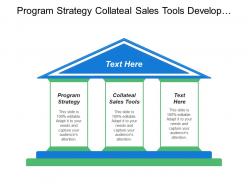 Program strategy collateal sales tools develop product idea