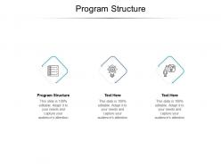 Program structure ppt powerpoint presentation model example file cpb
