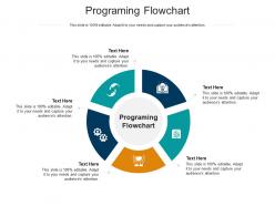 Programing flowchart ppt powerpoint presentation summary cpb