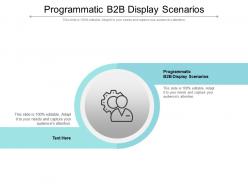 Programmatic b2b display scenarios ppt powerpoint presentation professional guidelines cpb