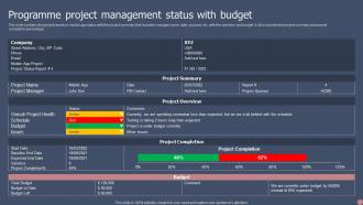 Programme Project Management Status With Budget